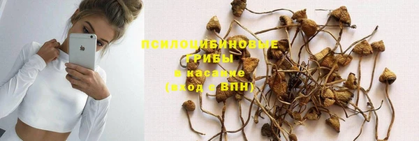 бошки Гусь-Хрустальный