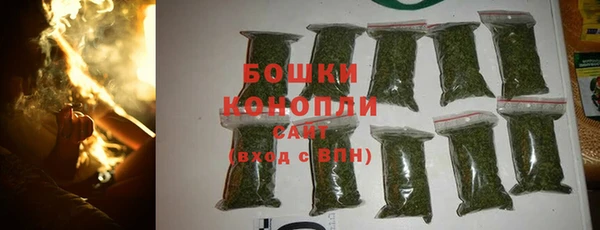 дмт Гусев