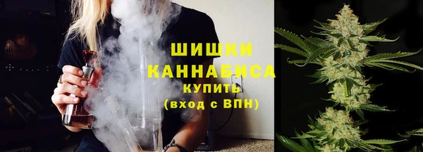дмт Гусев