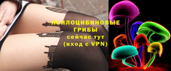 бошки Гусь-Хрустальный