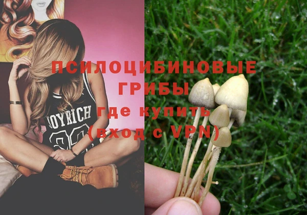 дмт Гусев