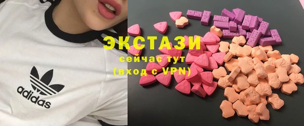 дмт Гусев