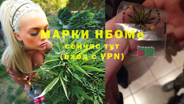 бошки Гусь-Хрустальный