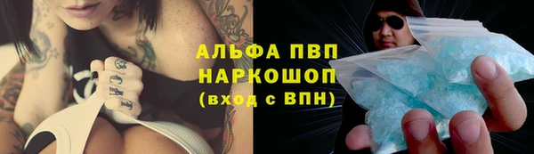 дмт Гусев