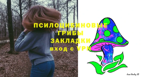 бошки Гусь-Хрустальный