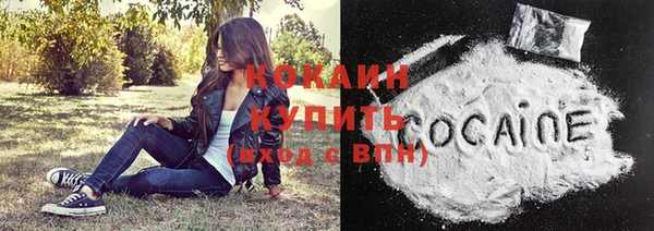 бошки Гусь-Хрустальный