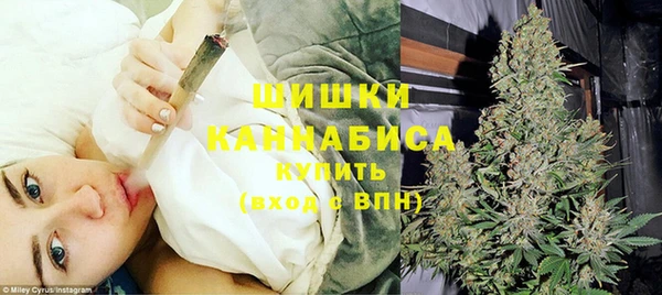 дмт Гусев