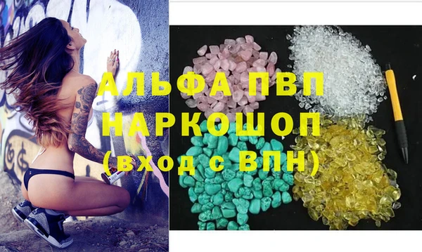 дмт Гусев