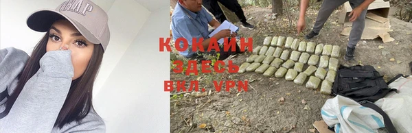 дмт Гусев